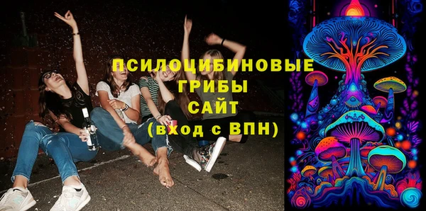 первитин Алексеевка