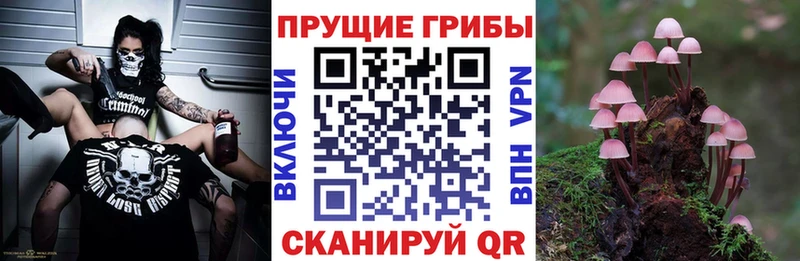 Галлюциногенные грибы GOLDEN TEACHER  Задонск 